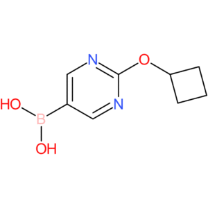 2-(cyclobutoxy)pyrimidine-5-boronic acid
