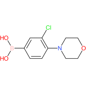 3-chloro-4-morpholinophenylboronic acid