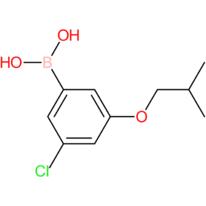 3-chloro-5-isobutoxyphenylboronic acid