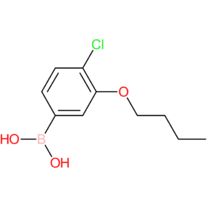 3-butoxy-4-chlorophenylboronic acid