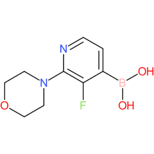 3-fluoro-2-morpholinopyridine-4-boronic acid
