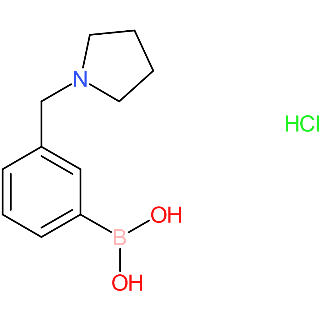[3-(1-pyrrolidinylmethyl)phenyl]boronic acid hydrochloride