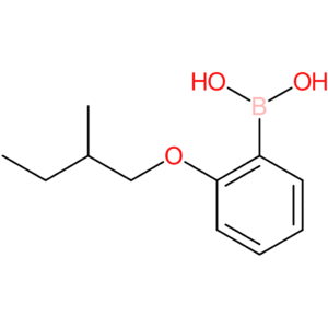 [2-(2-methylbutoxy)phenyl]boronic acid