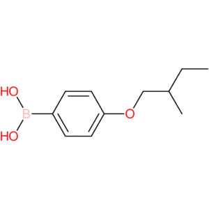 [4-(2-methylbutoxy)phenyl]boronic acid