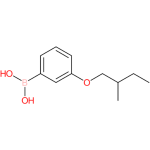 [3-(2-methylbutoxy)phenyl]boronic acid