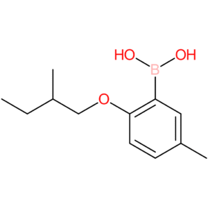 [5-methyl-2-(2-methylbutoxy)phenyl]boronic acid