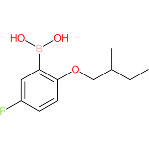 [5-fluoro-2-(2-methylbutoxy)phenyl]boronic acid