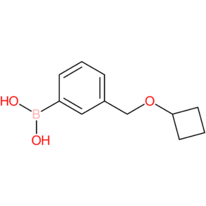 [3-(cyclobutoxymethyl)phenyl]boronic acid