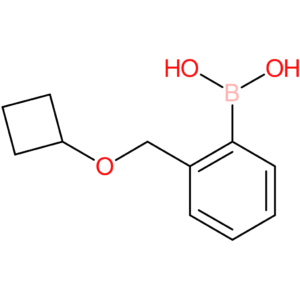 [2-(cyclobutoxymethyl)phenyl]boronic acid