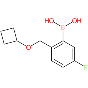 [2-(cyclobutoxymethyl)-5-fluorophenyl]boronic acid