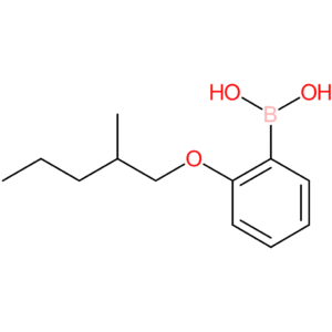 (2-[(2-methylpentyl)oxy]phenyl)boronic acid