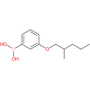 (3-[(2-methylpentyl)oxy]phenyl)boronic acid