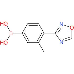 3-methyl-4-(1,2,4-oxadiazol-3-yl)phenylboronic acid