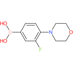 3-fluoro-4-morpholinophenylboronic acid