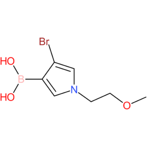 4-bromo-1-(2-methoxyethyl)-pyrrol-3-ylboronic acid