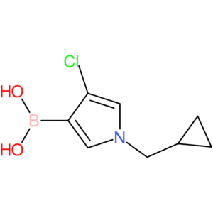 4-chloro-1-(cyclopropylmethyl)-pyrrol-3-ylboronic acid