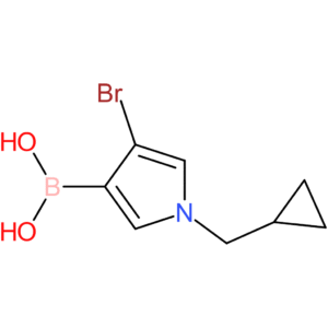 4-bromo-1-(cyclopropylmethyl)-pyrrol-3-ylboronic acid