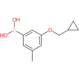 3-(cyclopropylmethoxy)-5-methylphenylboronic acid