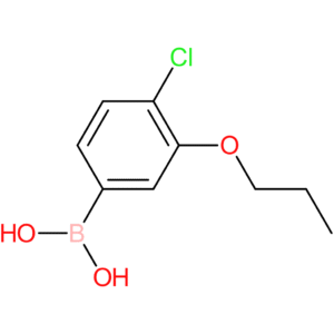 4-chloro-3-propoxyphenylboronic acid
