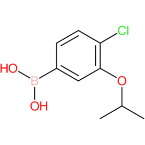 4-chloro-3-isopropoxyphenylboronic acid