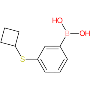 3-(cyclobutylthio)phenylboronic acid