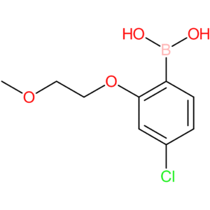 4-chloro-2-(2-methoxyethoxy)phenylboronic acid
