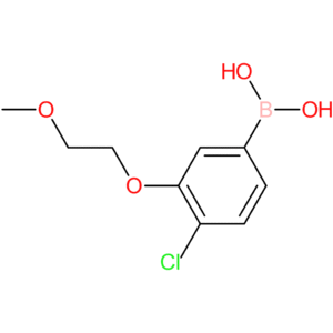 4-chloro-3-(2-methoxyethoxy)phenylboronic acid