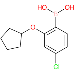 4-chloro-2-(cyclopentyloxy)phenylboronic acid
