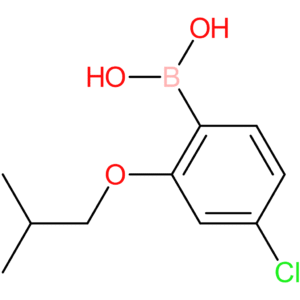 4-chloro-2-isobutoxyphenylboronic acid