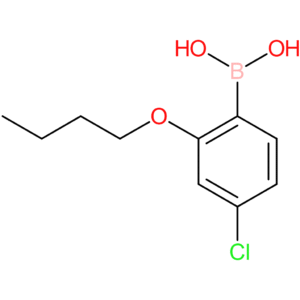 2-butoxy-4-chlorophenylboronic acid