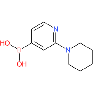 2-piperidinopyridine-4-boronic acid