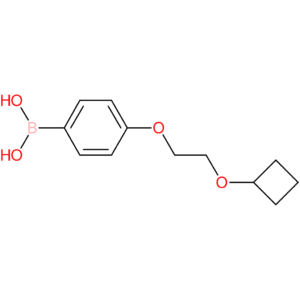 [4-(2-cyclobutoxyethoxy)phenyl]boronic acid