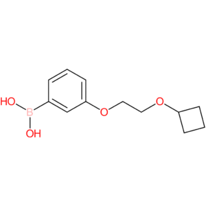 [3-(2-cyclobutoxyethoxy)phenyl]boronic acid