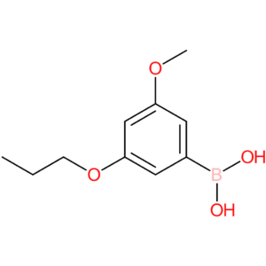 3-methoxy-5-propoxyphenylboronic acid