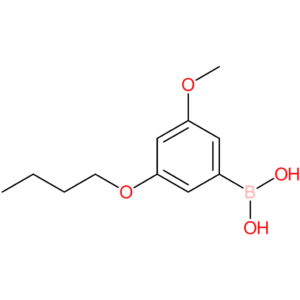 (3-butoxy-5-methoxyphenyl)boronic acid