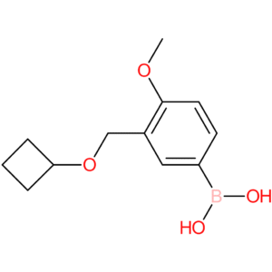[3-(cyclobutoxymethyl)-4-methoxyphenyl]boronic acid