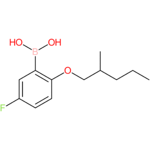 (5-fluoro-2-[(2-methylpentyl)oxy]phenyl)boronic acid