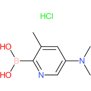 5-(dimethylamino)-3-methylpyridin-2-ylboronic acid hydrochloride