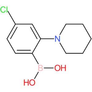 4-chloro-2-piperidinophenylboronic acid