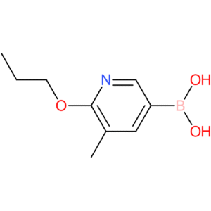 5-methyl-6-propoxypyridine-3-boronic acid