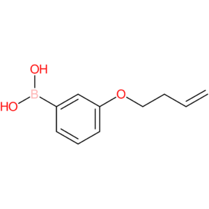 3-(but-3-enyloxy)phenylboronic acid