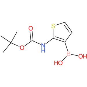 2-(tert-butoxycarbonylamino)-thiophene-3-boronic acid