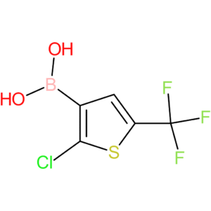 2-chloro-5-(trifluoromethyl)thiophene-3-boronic acid