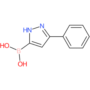 3-phenyl-1h-pyrazolE-5-boronic acid