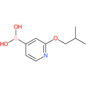 [2-(2-methylpropoxy)pyridin-4-yl]boronic acid