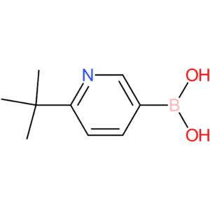 (6-tert-butylpyridin-3-yl)boronic acid