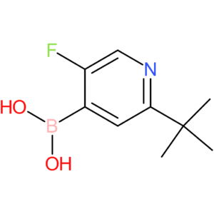 5-fluoro-2-(tert-butyl)pyridine-4-boronic acid