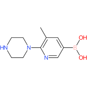 5-methyl-6-(piperazin-1-yl)pyridin-3-ylboronic acid