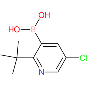 (2-tert-butyl-5-chloropyridin-3-yl)boronic acid