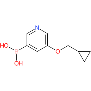 [5-(cyclopropylmethoxy)pyridin-3-yl]boronic acid